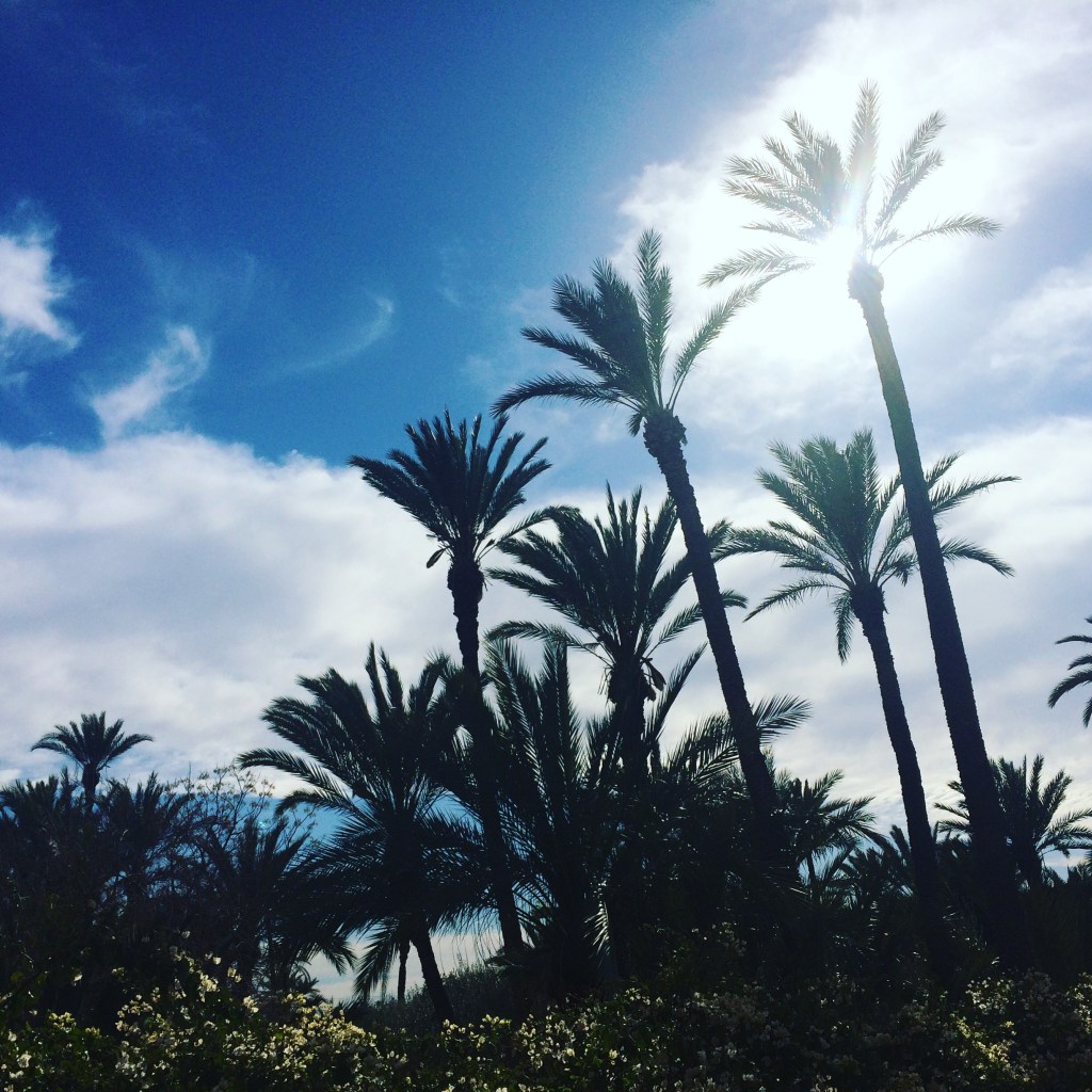 Deciding for the&nbsp;new