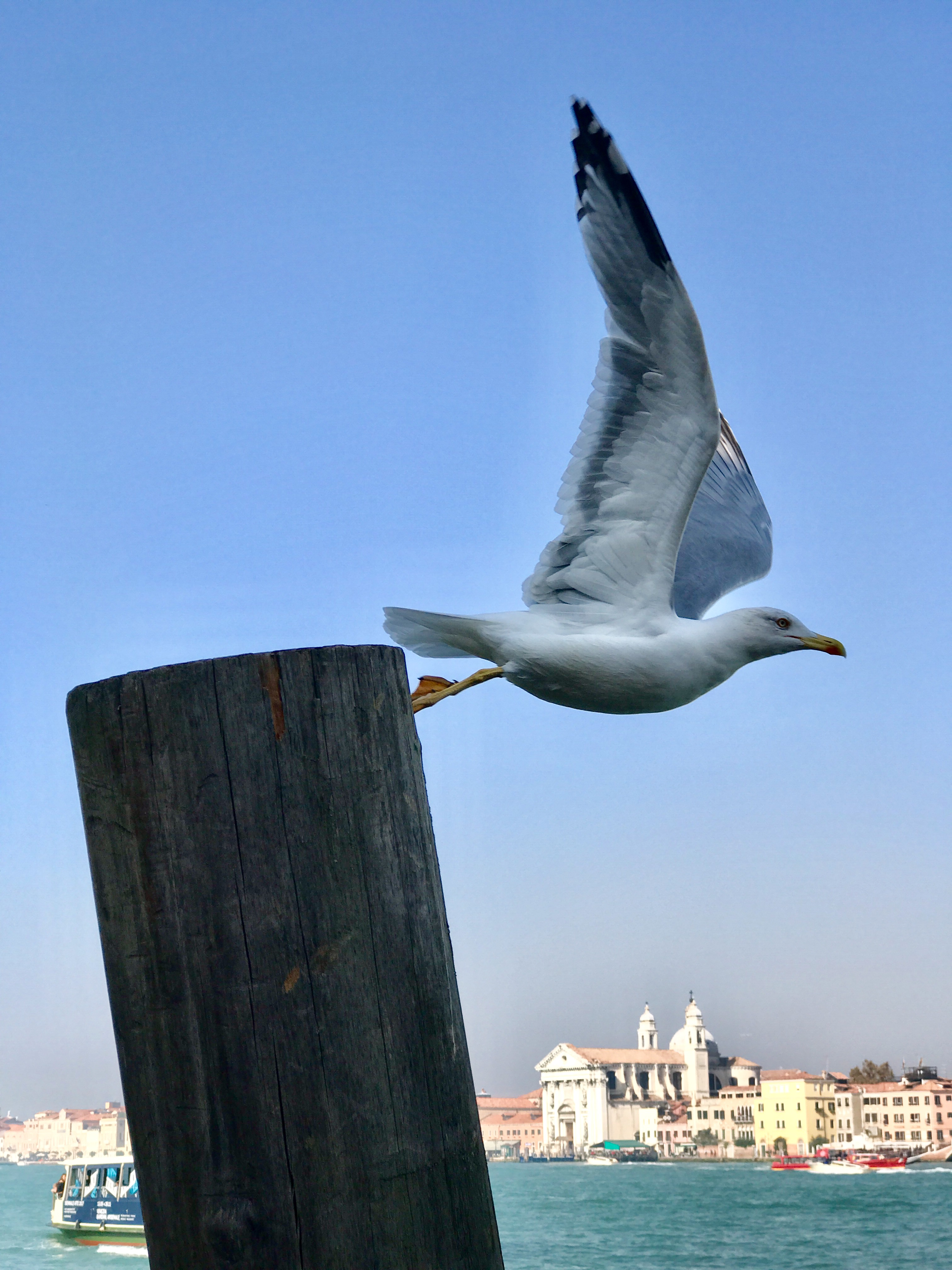 MiriamOtto06_An-Instant