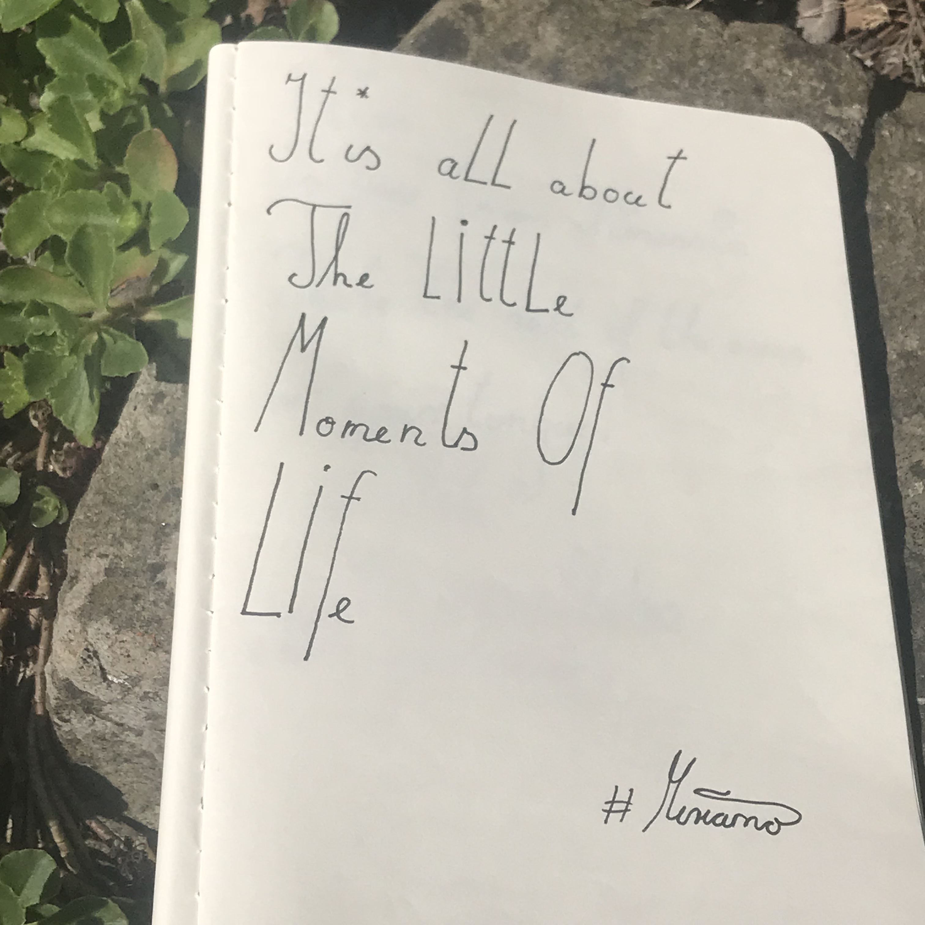 02DB6546-C341-470D-80FE-AE8042A0D616