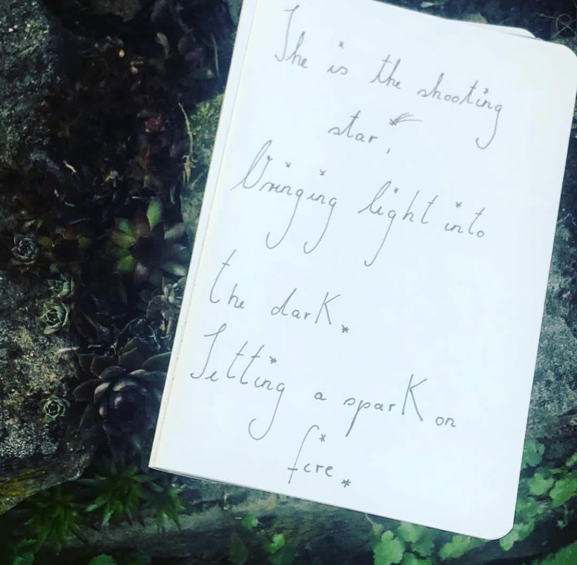 0A54481F-A333-494C-A33E-F7B8044BCBAD