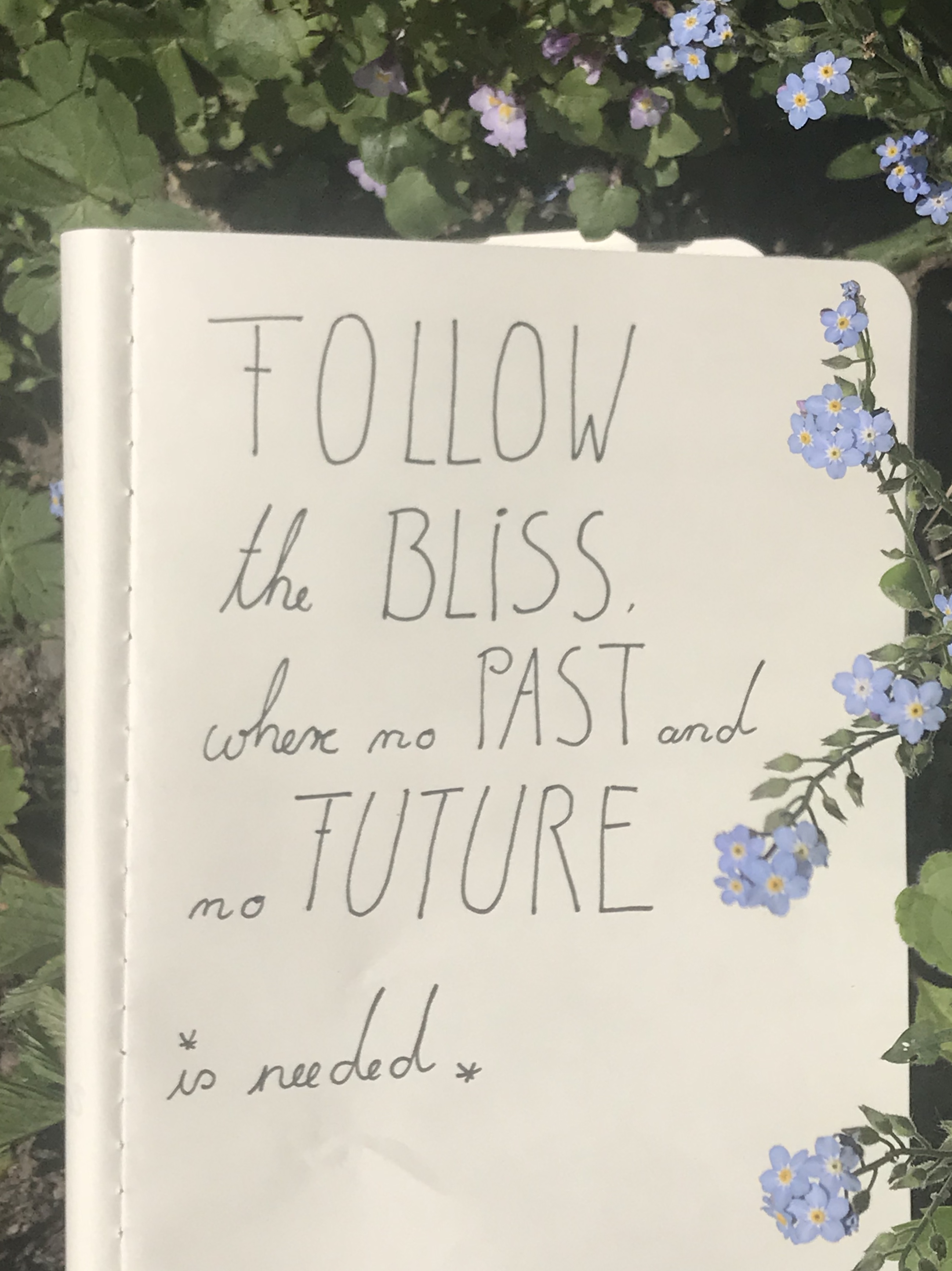 1B610265-0497-4BA0-A7BC-71E05FFF7777