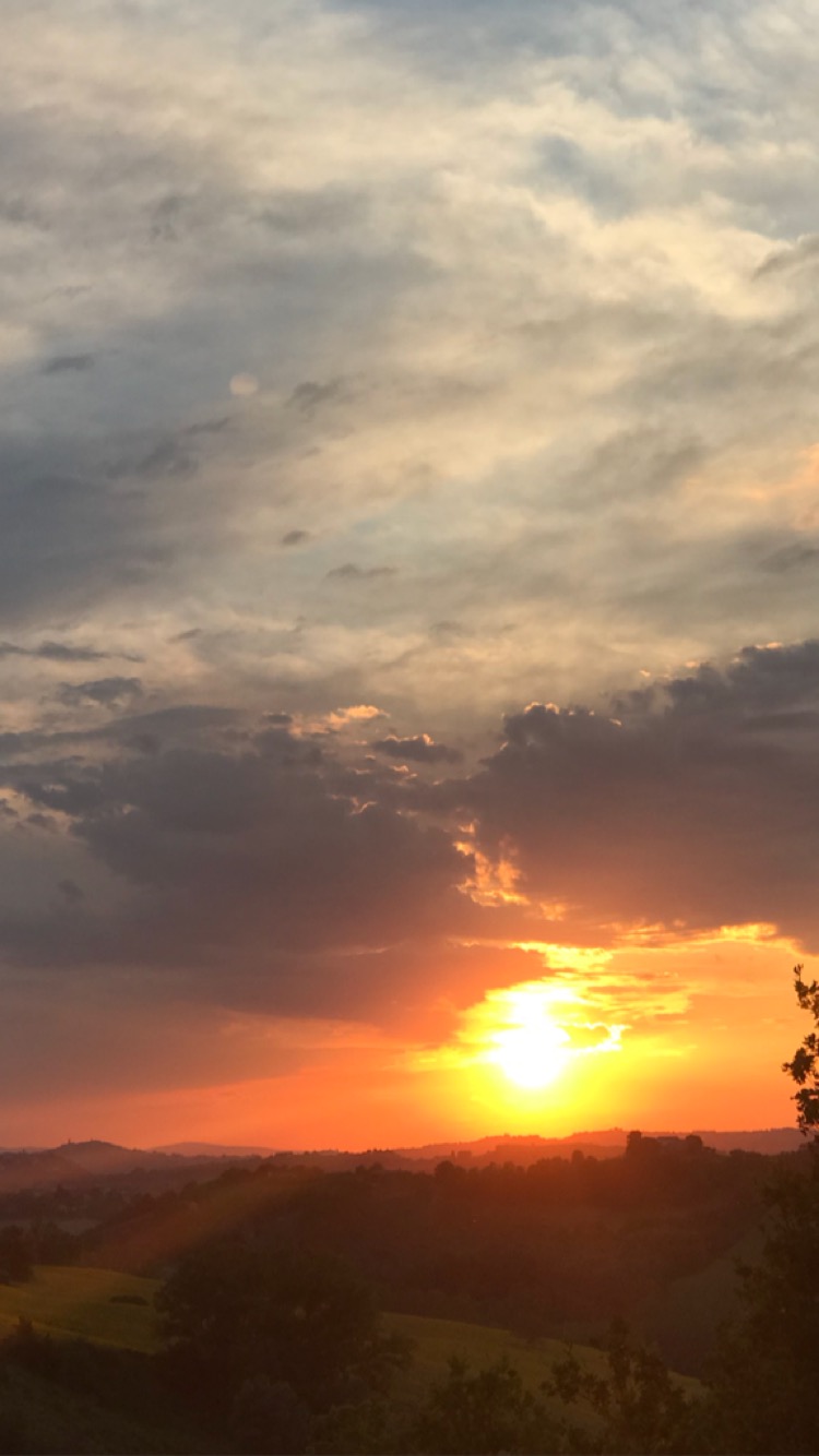 1C5F7BFB-4DA4-48B3-963B-41220480DC2C