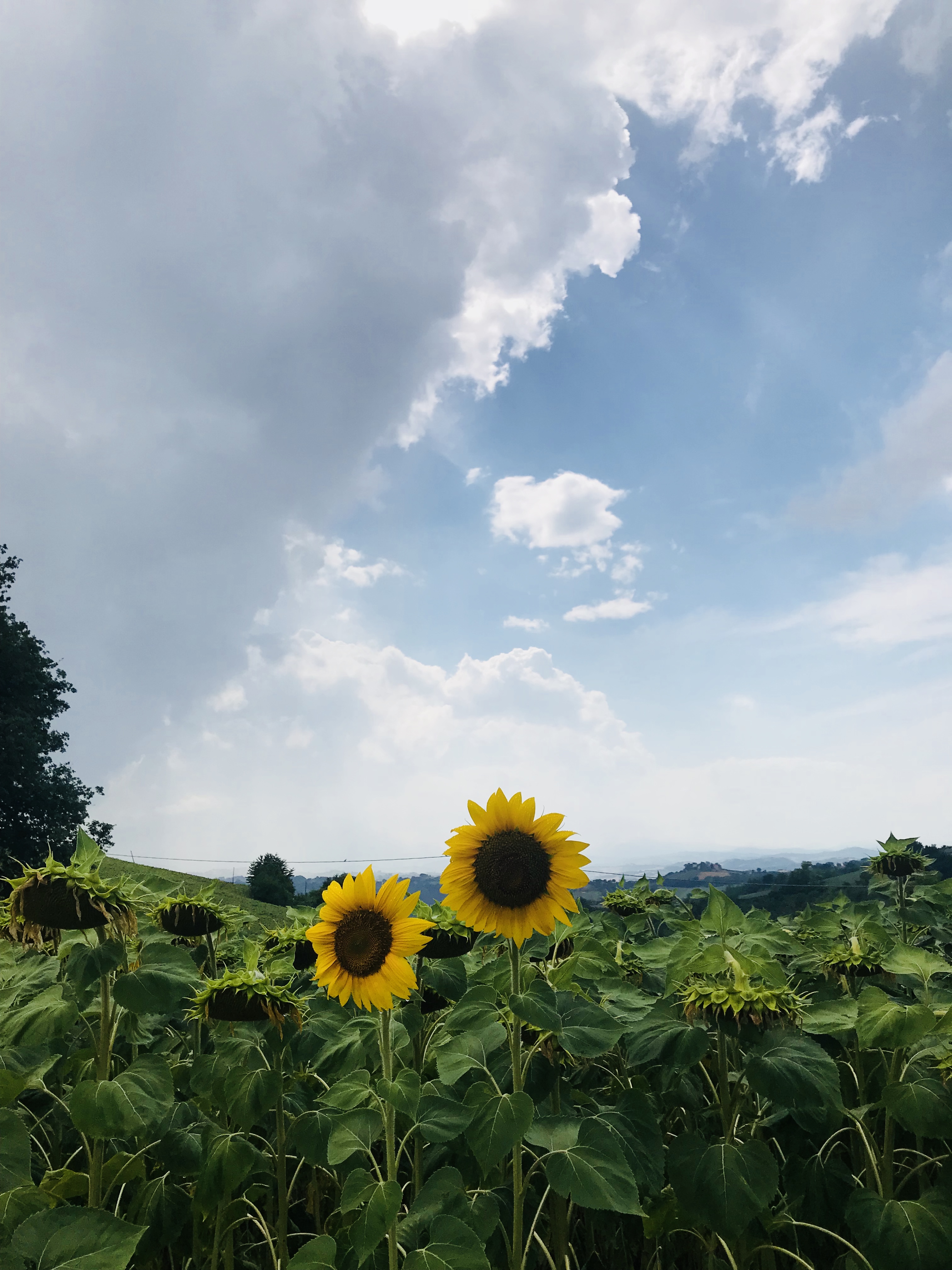 79DBB8F7-AE24-49F9-84A2-AA4DD031C41F