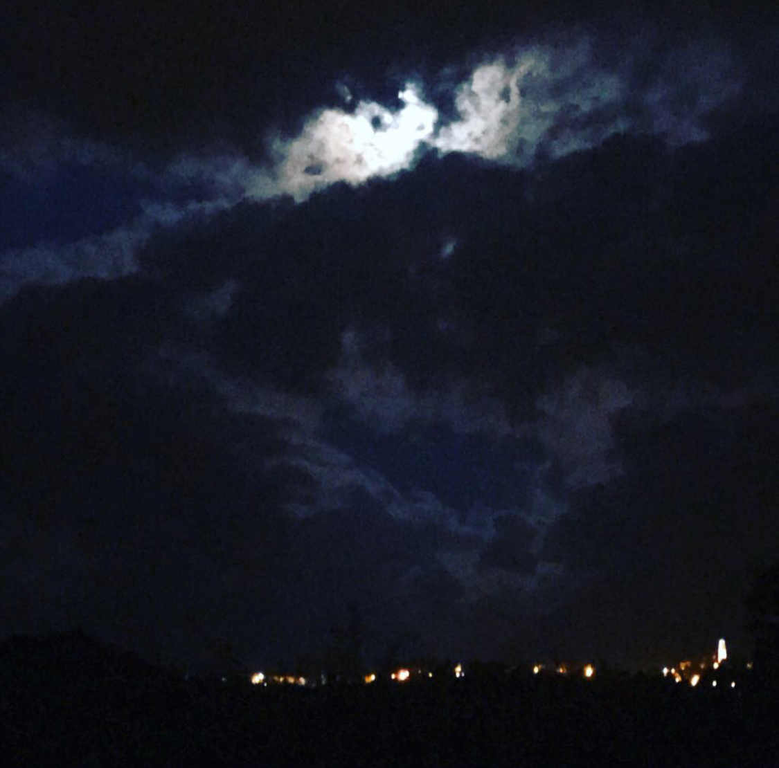 AAE1EC8B-EFA6-42E0-AFE6-4F40C21D2F5B