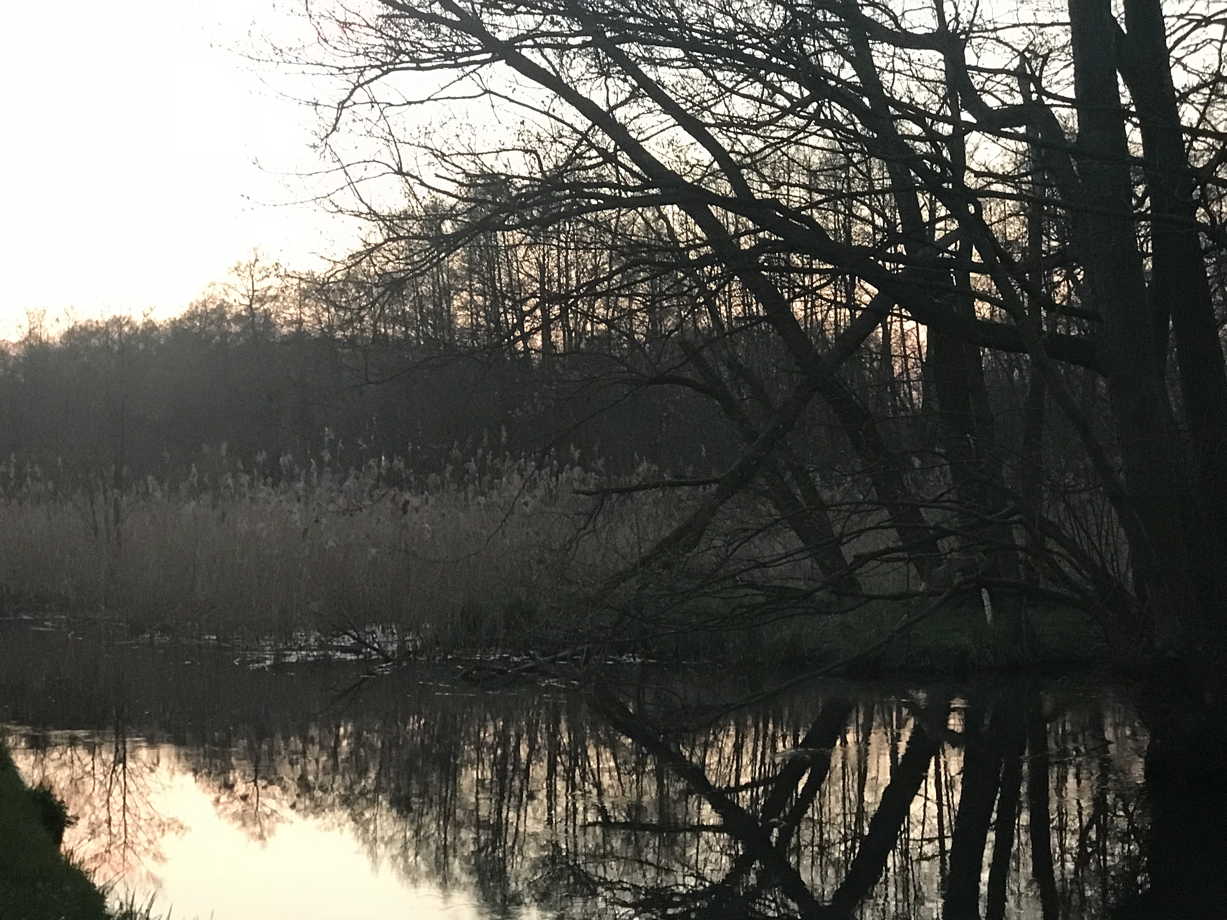 B2BDEE35-528D-4659-834A-244F0BEF2C89