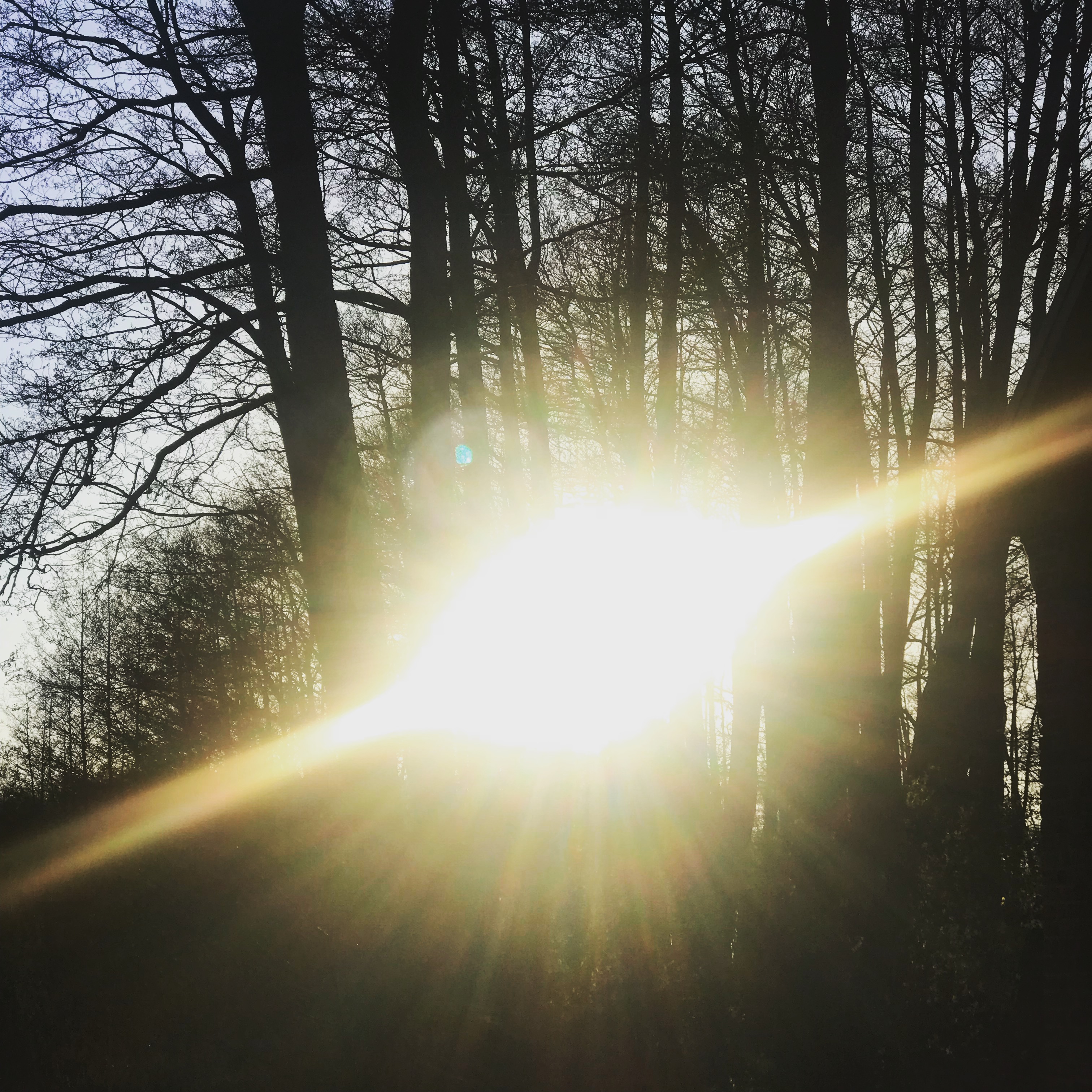 B33C92A8-EEE3-4C94-B8E6-F4F090E08006