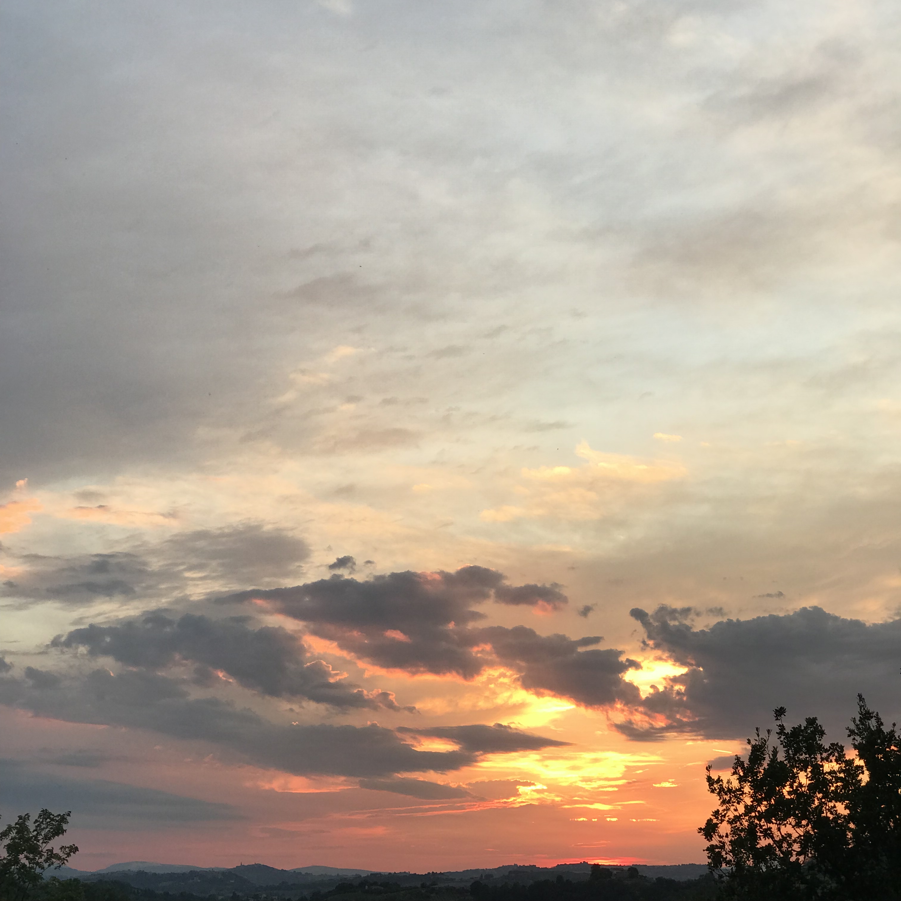 DA98EEA7-D47D-4B42-B0AA-4C99AC29E1AF