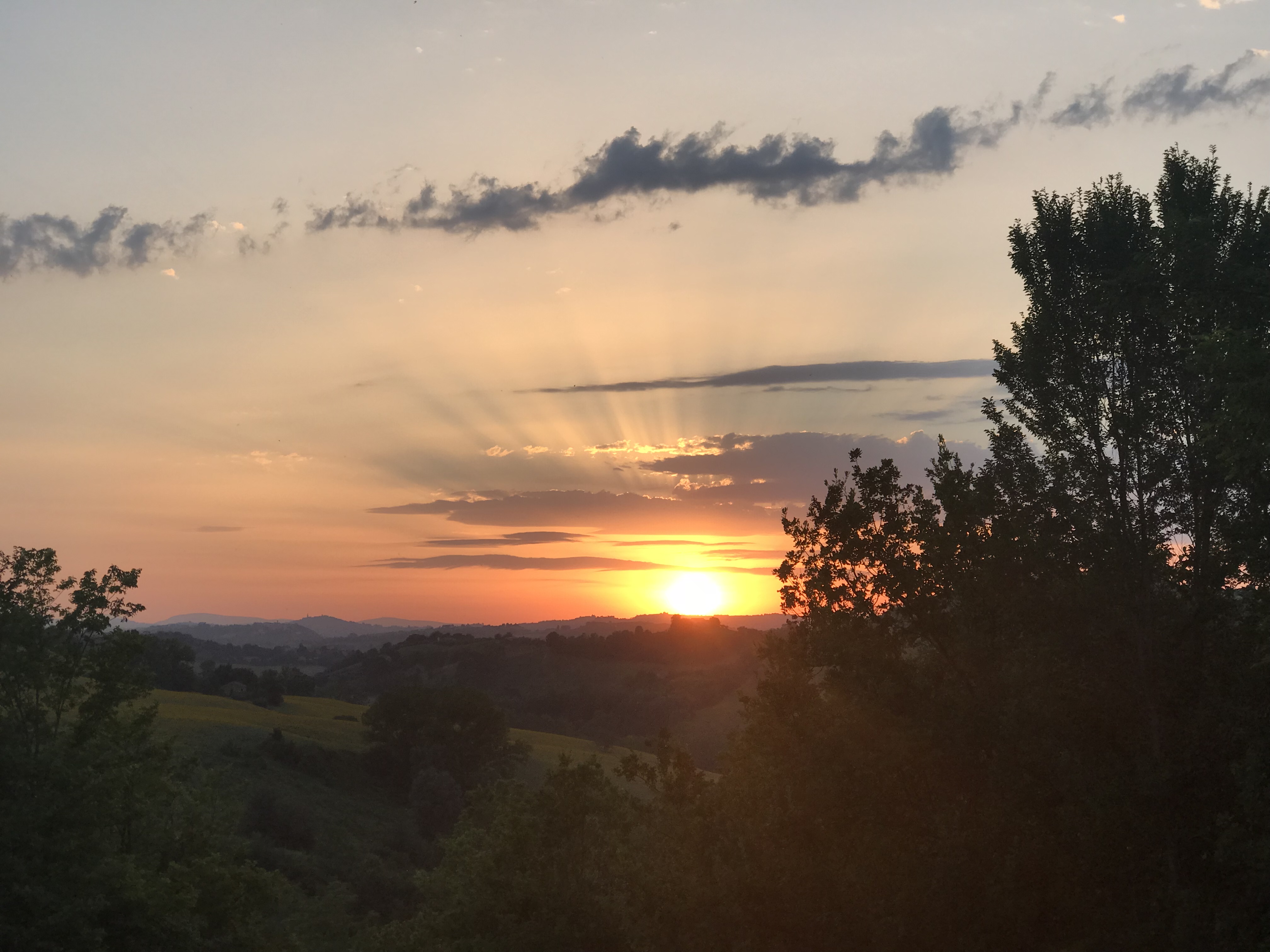 E8D696F6-A36C-4E7D-803B-2C871F3DAF51