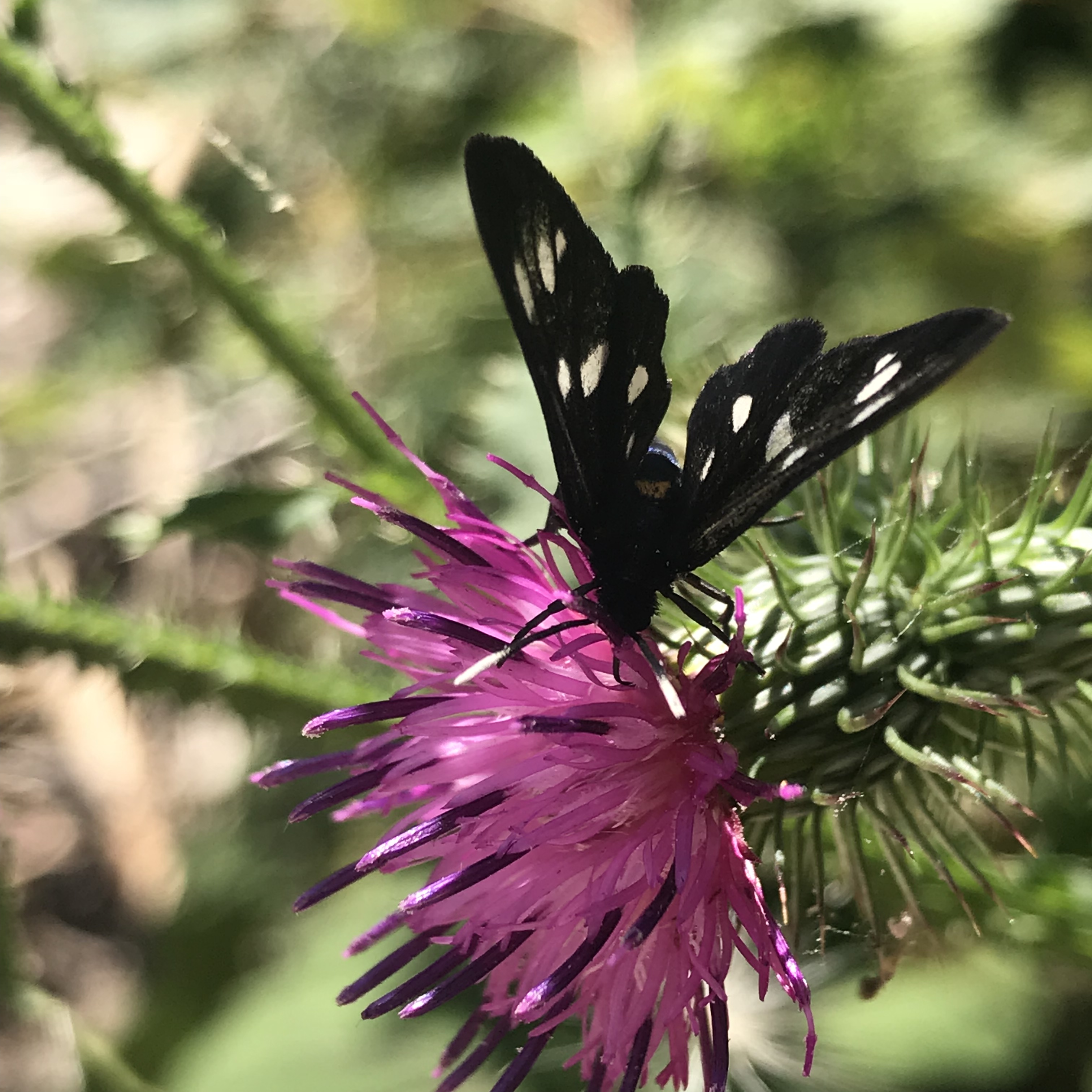 F1961F54-E0EB-4E36-9643-2F721ACC5E36