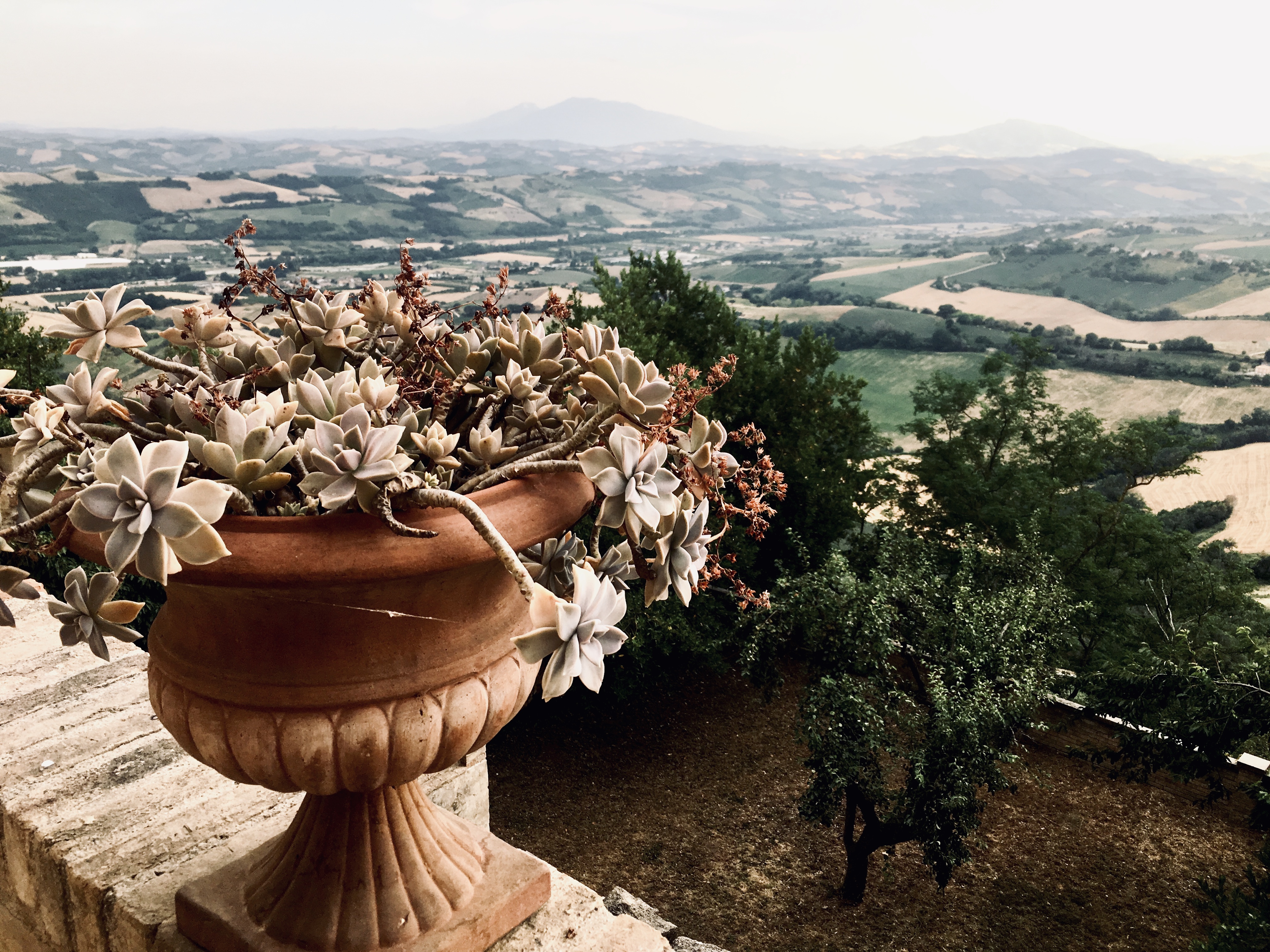 490D5165-5BA2-461E-9211-A9FC15E01972