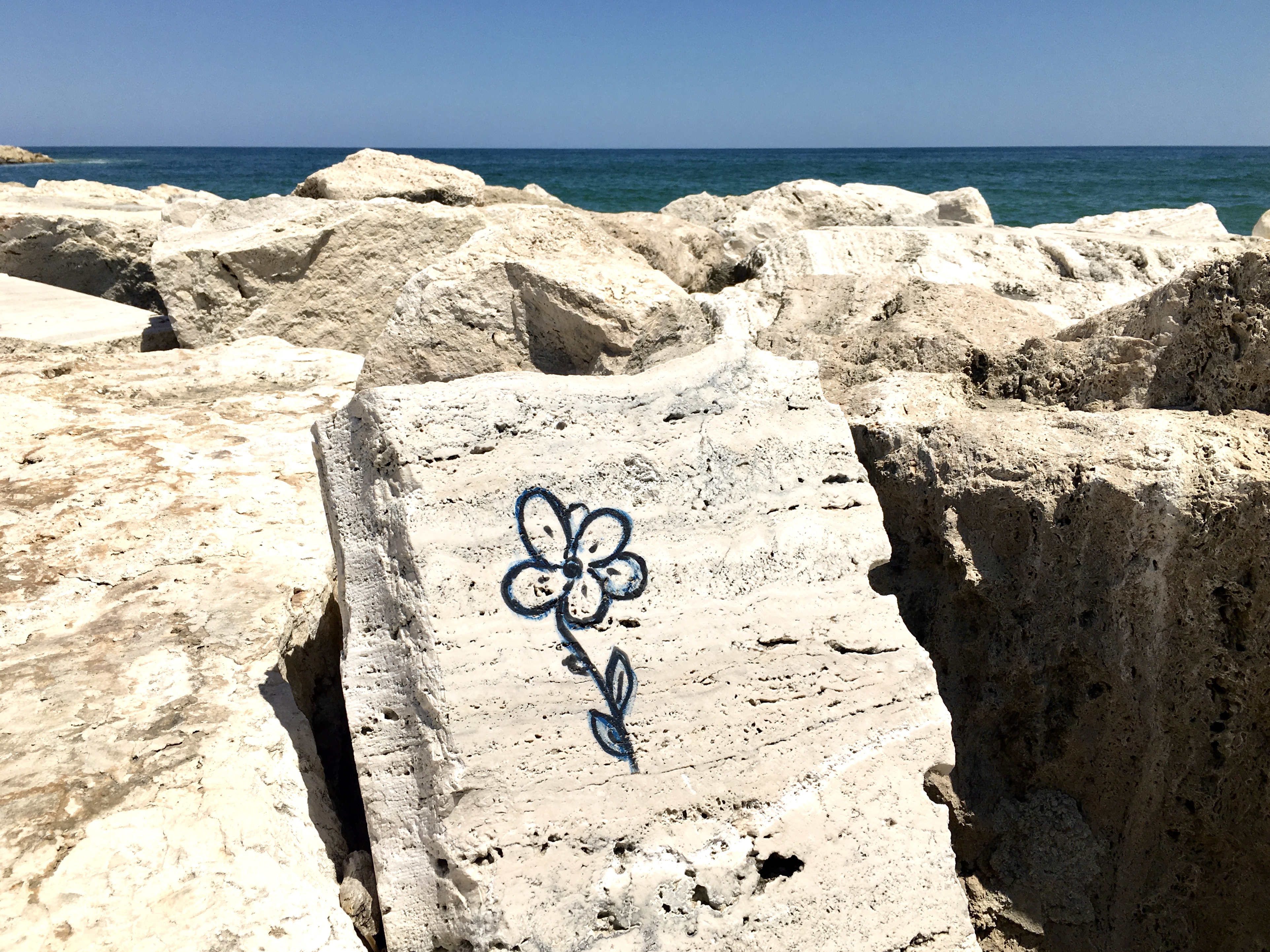 6ECE6447-2B9D-4100-8E00-8B8175124ABF